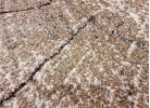 Тъкан килим MAGNOLIA 259 beige